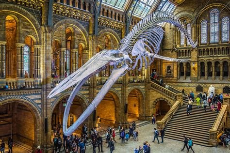 London's Unique Museums: Must-Visit Cultural Institutions