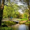 Exploring the Natural Beauty of London: Parks and Gardens to Discover