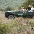 Safari Adventures in South Africa: Wildlife, Wilderness, and Natural Beauty
